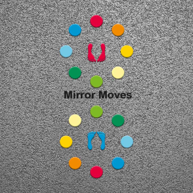 Mirror Moves Activity Circles