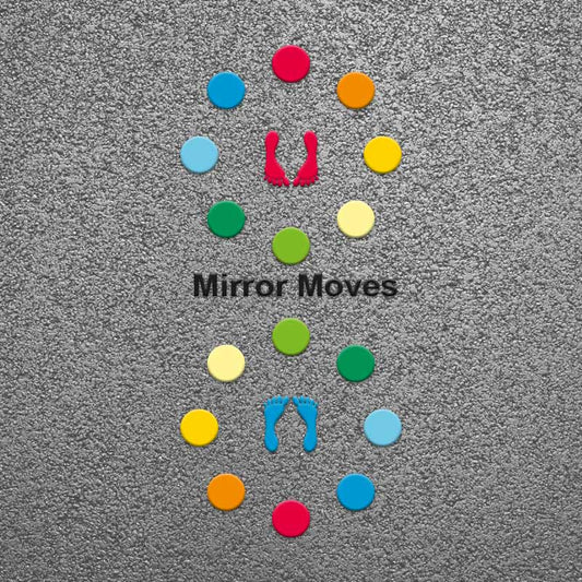 Mirror Moves Activity Circles